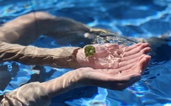 小扫货把腿张开让我C烂你的SB